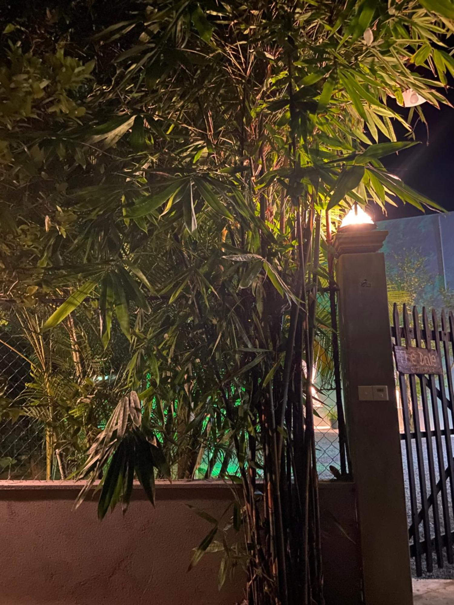 The Dale Mirissa Hotel ภายนอก รูปภาพ